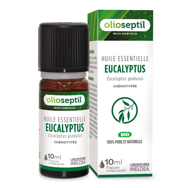 Huile essentielle Eucalyptus globulus Huile essentielle Eucalyptus globulus