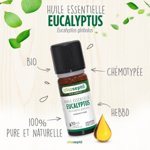 Huile essentielle Eucalyptus globulus Huile essentielle Eucalyptus globulus