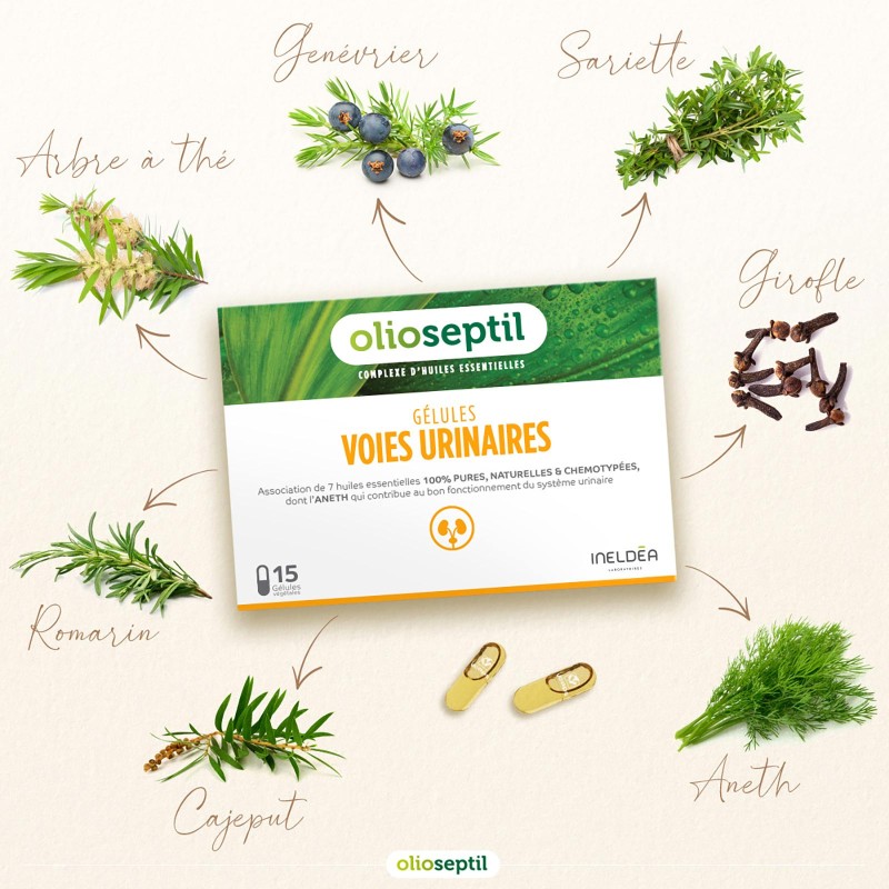 OLIOSEPTIL® GELULES VOIES URINAIRES OLIOSEPTIL® GELULES VOIES URINAIRES