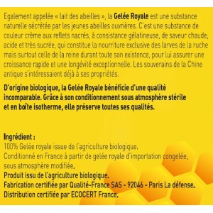 100% Gelée Royale BIO de haute qualité - Soutient Défenses naturelles 100% Gelée Royale BIO de haute qualité - Soutient Défenses naturelles