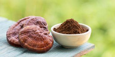 Renforcez votre immunité grâce aux champignons !