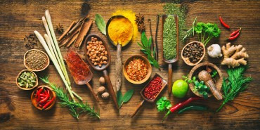 Nutrithérapie : Le pouvoir de la nutrition sur votre santé