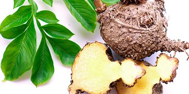 Coupe-faim naturel : quels aliments et compléments alimentaires choisir ?