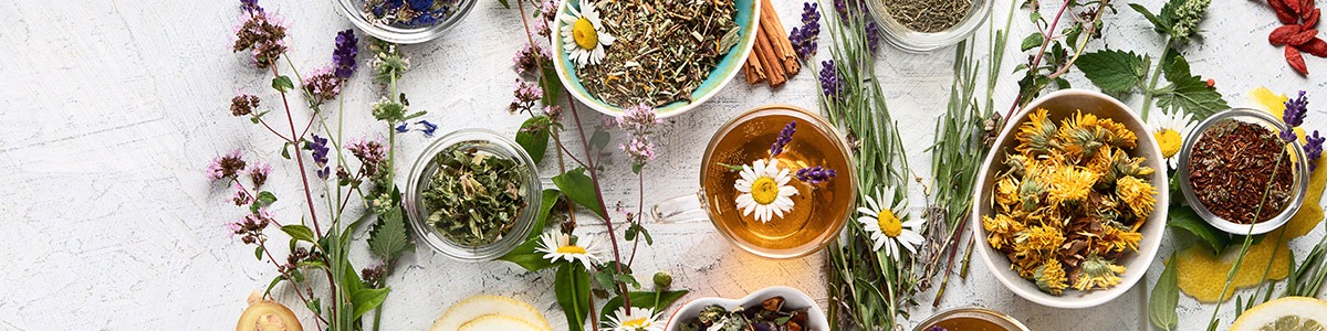 Retrouvez 10 plantes pour une cure detox efficace.