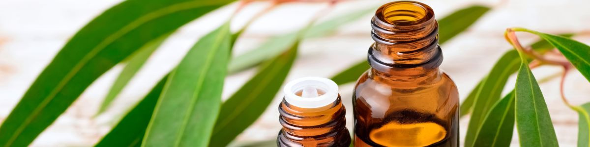 Zoom sur l'huile essentielle d'eucalyptus