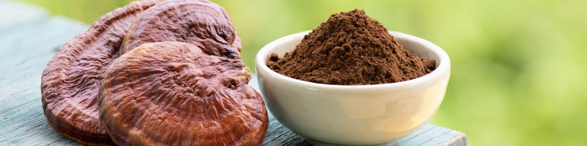 Renforcez votre immunité grâce aux champignons !