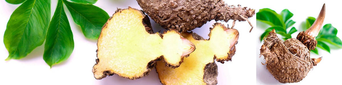 Coupe-faim naturel : quels aliments et compléments alimentaires choisir ?
