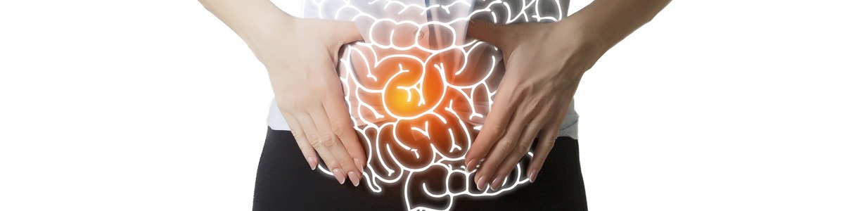 L’intestin, organe clé de notre santé !